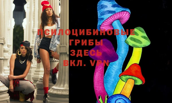 круглые Алзамай